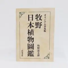 Item thumbnail for item 223aeabe-3205-45a6-b8dc-cc71222318a0