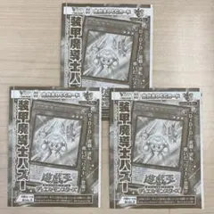 Vジャンプ11月号 装甲魔導士パズー 3枚セット