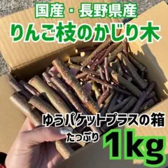 Item thumbnail for item 0a12e108-7f33-4030-8a59-720097dc5b0f