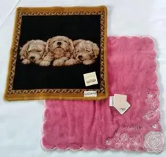新品　シェニール織、ジルスチュアートタオルハンカチ　2枚