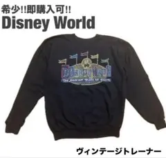 希少!! ヘインズHanesディズニーDisney スウェット 古着ヴィンテージ