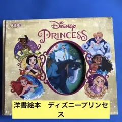 【ディズニー】 プリンセス 仕掛け英語絵本Disney おうち英語