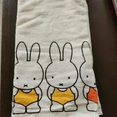 Item thumbnail for item 6863ed0b-690a-461e-91ee-6348fd51511a