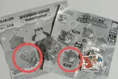 ポケモン スイングコレクション チラーミィ 30周年　メタルチャーム リザードン
