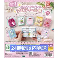 豆ガシャ本　プロフィール帳　シュガーバニーズ　チャーミーキティ　サンリオ