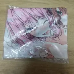 SDVX グレイス ロングクッションカバー 年間パス特典 - メルカリ