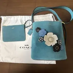 COACH ローグ25 ウィズ ティーローズ デニム 2way バッグ 日本限定