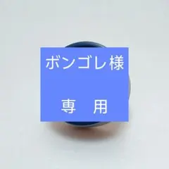 Item thumbnail for item 57decc45-e79a-424e-8810-d42de14b1ea6