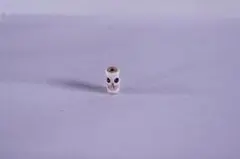 s-3 スカル　材料