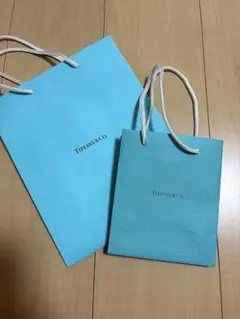 Tiffany & Co. ティファニーブルー ショッパー 大小セットのサムネイル