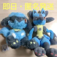 2025年最新】リオル ぬいぐるみの人気アイテム - メルカリ