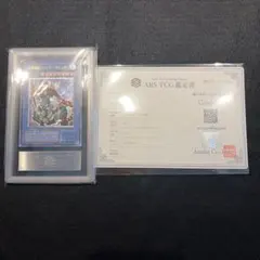 2026年最新】グレード：ARS Grade9 遊戯王OCG デュエルモンスターズの