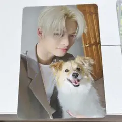 ENHYPEN アンケートトレカ ENGENE特別プレゼントカード