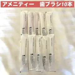 歯ブラシ　トラベル用　アメニティ　10本　まとめ売り