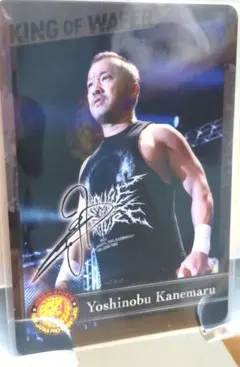 Item thumbnail for item c1f0700b-12a4-40eb-99e4-a84059aabfe7