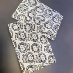 Item thumbnail for item 45e3ace8-1146-41f5-89a5-a60693548aa2