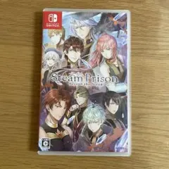 Switch スチームプリズン ビヨンドザスチーム