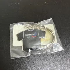 Item thumbnail for item c9639061-6bdf-4bfd-9dfd-294b0b581822