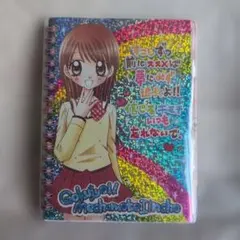 平成シール帳 20年前 当時物 めちゃモテ委員長シール帳 平成レトロ ちゃお 付録 めちゃモテ委員長 シール帳 - メルカリ