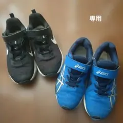 Item thumbnail for item 58558ec7-d691-4da6-9764-e34b2d822845