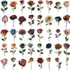 Item thumbnail for item 436757bc-dd44-42ed-a2d4-85e586556b4b