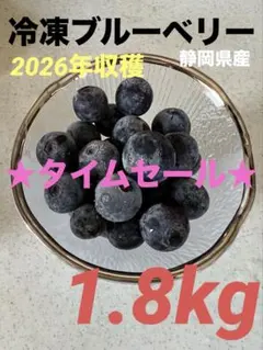 ★タイムセール★冷凍ブルーベリー★1.8kg★無農薬のサムネイル