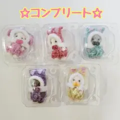 ☆コンプリート☆　シルバニア　カラフルウサギコスチューム　5点セット