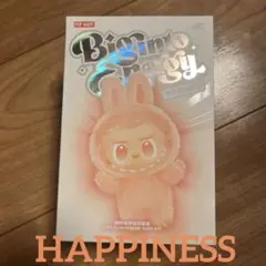 メ*0様 正規品・未開封　ラブブ HAPPINESS