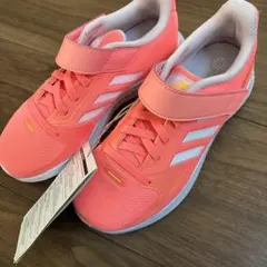 Item thumbnail for item 951290b6-f268-48f8-9dd7-0d75bc972a6e