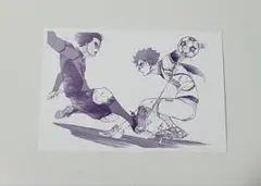 ブルーロック ポストカード 糸師凛 糸師冴 特典 アニメイト