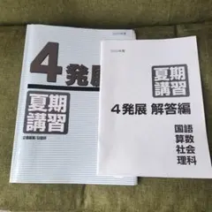 2026年最新】日能研 テキスト 4年の人気アイテム - メルカリ