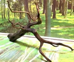 Charlie様 リクエスト 2点 まとめ商品