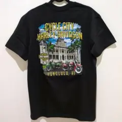 美品】ハーレーダビッドソン ハワイ ワイキキ ダイヤモンドヘッド T 