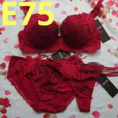 新品サルート48G迎賓の薔薇E75ソングMボーイレングスL3点セット店舗