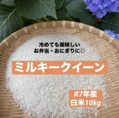 特別栽培米 ミルキークイーン 白米10kg お米10キロ 農家直送 ②のサムネイル