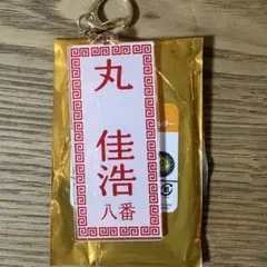 ジャイアンツ 東京讀賣 大阪 メニュー風 キーホルダー 丸佳浩