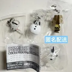 PEANUTS めじるしアクセサリー FUNNY ver. 4点セット