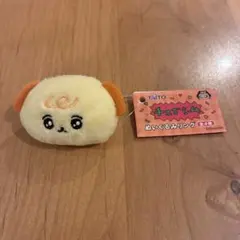 チェゴシム　ぬいぐるみリング 10