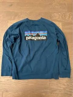 Patagonia オーガニックコットントレーナー　ブルーグリーン　Sサイズのサムネイル