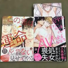 国宝級イケメン俳優の俺がAVに出るなんて　等商業BLコミックセット