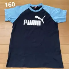 PUMA ラグランTシャツ 160サイズ 黒/青
