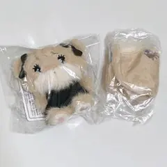 mikko ラテ　セット