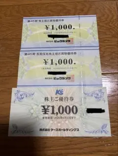 ビックカメラ ケーズデンキ 株主優待 3000円分