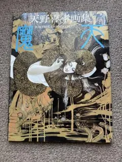 [初版] 天野喜孝 画集 2冊セット 天野喜孝 全版画集 天野喜孝全版画集 | 天野 喜孝 |本 | 通販 | Amazon