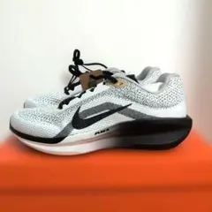 Nike Air Zoom Winflo 11 SE 28cm - メルカリ