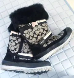 Item thumbnail for item f529fc5b-a7f9-416c-a41b-2d9d5993ff0b