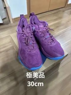 ASICS NOVA SURGE LOW 2 30.0cm 極美品