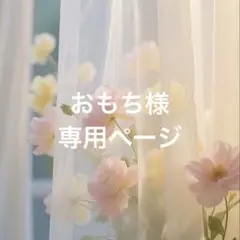 おもち様専用ページ