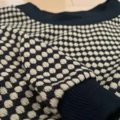 INGNI ドット柄 半袖ニット　ジャガード