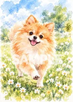ポメラニアンたちの笑顔とひまわりの物語 デジタルアート 花 犬 水彩画